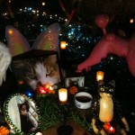Altar to honor our kitties who have passed on