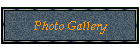 Photo Gallery